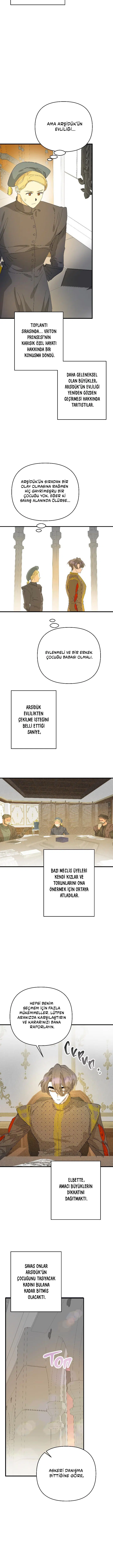 Sahte Leydi - Bölüm 65 Sayfa 11