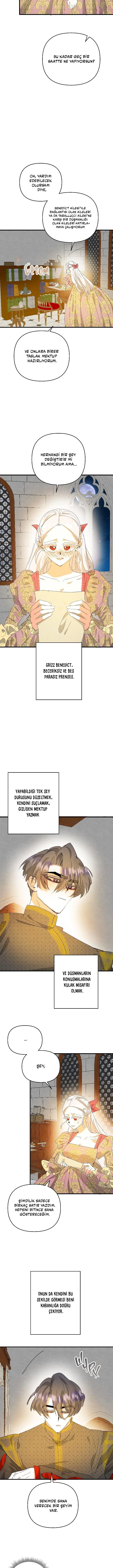 Sahte Leydi - Bölüm 66 Sayfa 5