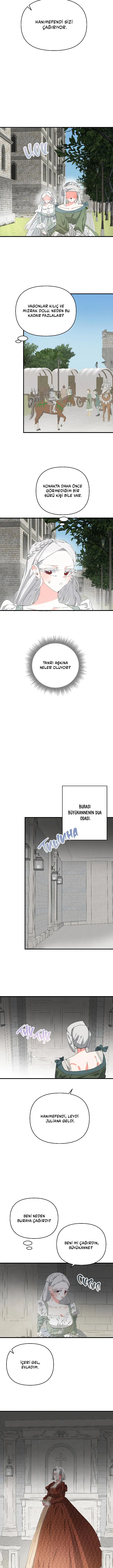 Sahte Leydi - Bölüm 66 Sayfa 12