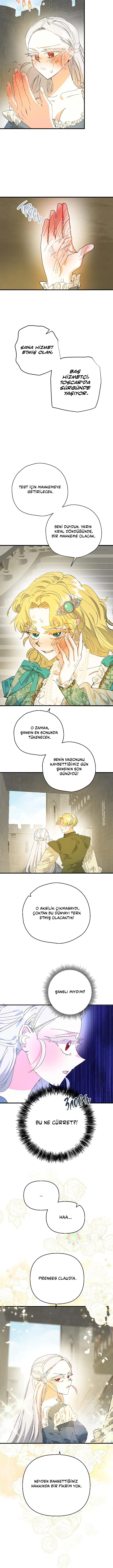 Sahte Leydi - Bölüm 70 Sayfa 9
