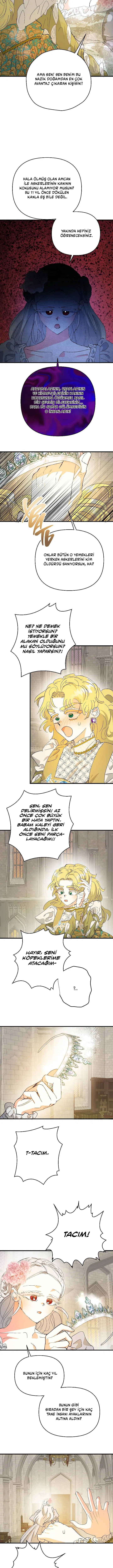 Sahte Leydi - Bölüm 75 Sayfa 5