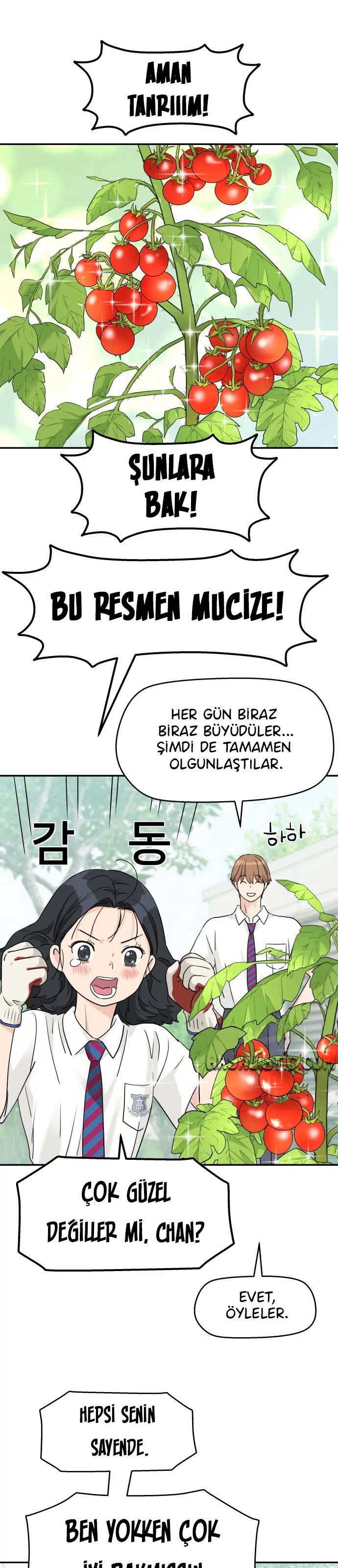 Sami’nin Oyunu - Bölüm 79 Sayfa 19